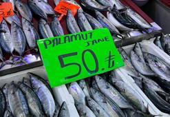 Palamutun tanesi 40 liraya düştü! Tezgahlarda bolluk yaşanıyor