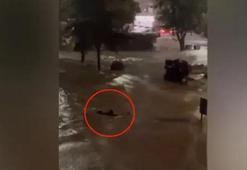 Yer: Sarıyer! Göle dönen caddede akıntıya kapılmamak için yüzdü... O anlar kamerada