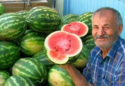 Yaz bitti, karpuz hasadı bitmedi! Gaziantep’te emekçilerin mesaisi devam ediyor, Türkiye'nin dört bir yanına gönderiliyor