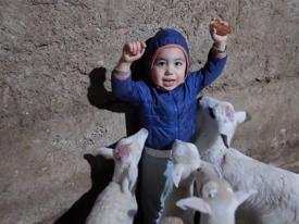 Minik Yusuf’un tatlı halleri gülümsetti