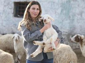 Köyüne döndü, 3 yılda sürüsünü 4 kat büyüttü