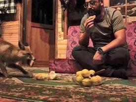 ‘Tilko’ ismini verdiği tilkiyi elleriyle besliyor