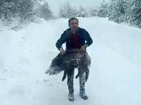 Yaban domuzunu eliyle yakaladı