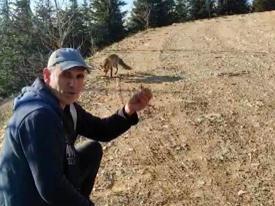 Karşılaştığı tilkiye kuruyemiş ikram etti