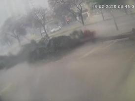 Adana’da şiddetli fırtına ağaçları kökünden söktü