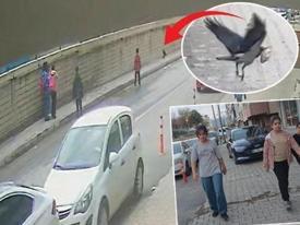 Minik kuşu kurtarma çabası kısa sürdü