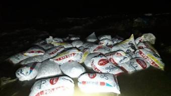 Muradiye'de 2,4 ton kaçak avlanan inci kefali ele geçirildi