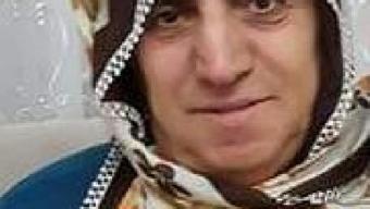 Bahçede çalışırken arı sokan kadın öldü