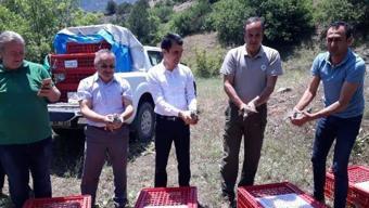 Almus'ta doğaya bin adet keklik bırakıldı