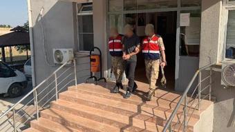 PKK'ya eleman sağlayan terörist, Lice'de yakalandı