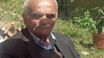 Yaylada başına yorgun mermi isabet etti