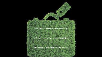 Çevre dostu bir tatile çıkmaya ne dersiniz?