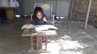 Okul ödevlerini tavukla yapan küçük kız gülümsetti