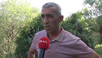 Gümüşhane’de köye inen ayılar, kovanları parçaladı