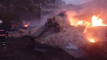 Gümüşhane’de ahır yangını; 9 büyükbaş öldü
