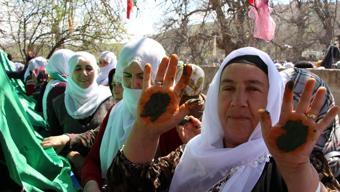Diyarbakır'da 'Murat Şenlikleri' başladı
