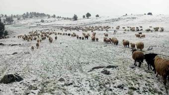 Tokat'ta mayıs ayında kar yağdı
