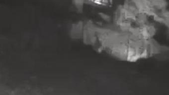 Bozcaada'da şüphelinin otluk alanı ateşe verdiği anlar kamerada