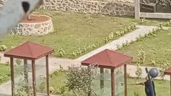 Bıçak Tanıtım Parkı'na 'balyozlu saldırı' kamerada