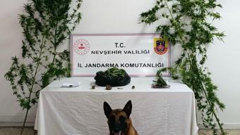 Nevşehir'de uyuşturucu operasyonu: 2 gözaltı