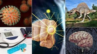 Eylül'deki bilimsel gelişmeler çığır açıyor! Mars'ta yaşama işaret eden izlerden hastalıkları öngören yapay zeka modeline