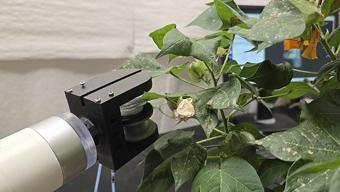 Bitkilere özel robot hemşireler geliyor!