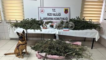 Rize'de uyuşturucu operasyonları; 89 şüpheli hakkında işlem yapıldı