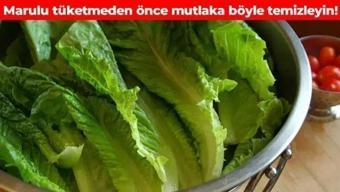 Maruldaki pestisiti saniyeler içinde arındırıyor! Sirke ya da karbonattan 10 kat daha etkili