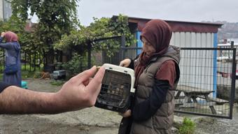 Kayıp kedi, patisinde mermiyle geri döndü