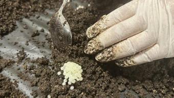 Bulgaristan’dan 1000 adet getirip işe başladı, şimdi kilosunu 148 bin TL’ye satıyor: Orta Doğu’dan sipariş yağıyor