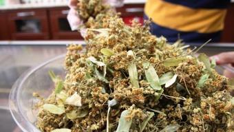 Ihlamuru ısıtırken 2 kez düşünün! Doğru demlenmezse zehir saçıyor