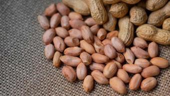 Yarım fincandan az yemek yetiyor! Babalarımızın favori atıştırmalığı meğer damarların en iyi dostuymuş!