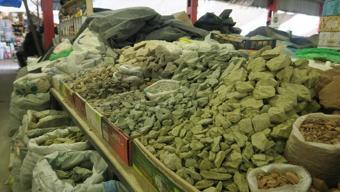 Ne çekirdek ne fıstık... Toprak yiyorlar! Vitamin deposu 'gulboto' gerçeği