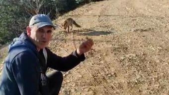 Doğada rastladığı tilkiye kuruyemiş ikram etti