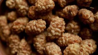 Soğanı sarımsağı unutturan doğal antibiyotik! Vücuttaki iltihabı kurutup demir eksikliğini bitiriyor!