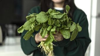 Ispanağı, domatesi unutun! İşte vitamin deposu olarak dünyanın zirvesine oturan o süper besin