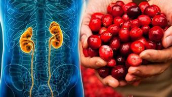 Avuç avuç yiyin, en güçlü antioksidan! Böbrekleri diyalizin pençesinden kurtarıyor!