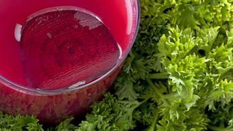 Havalar soğuyunca talep arttı! Doğal antioksidan deposu: 30'dan fazla ülkeye satılıyor