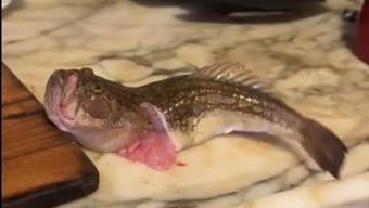 İçi alınan balığın bitmeyen hareketi şaşkınlık yarattı