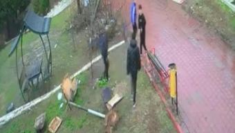 Adana’da vicdanları sızlatan anlar! 4 çocuk kuş yuvasını yerle bir etti