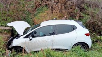 Köpeğe çarpmamak isterken şarampole uçtu: 2 yaralı