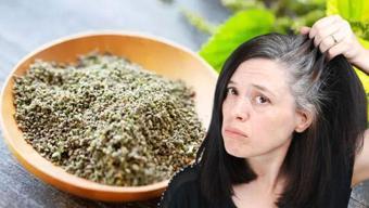 Anneannelerin yıllardır uyguladığı tarif! Gri saçları siyaha döndürüyor: Yumuş yumuş yapıp parlatıyor