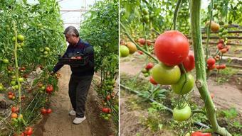 Kütahya'nın coğrafi işaretli lezzeti! Kokusu ve tadıyla mest ediyor: Kolesterolü düşüren kahvaltılık