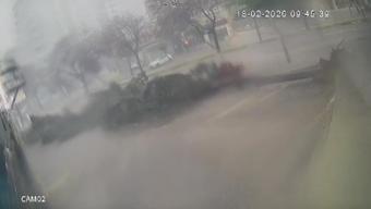 Adana’da şiddetli fırtına ağaçları kökünden söktü: O anlar kamerada