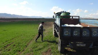 Gercüş’te çiftçiler bahar gübresine başladı