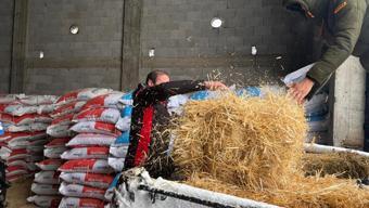 TIR'larda mahsur kalan 200 büyükbaşa yem desteği