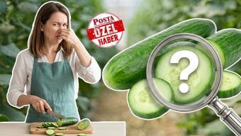 Salatalıktaki balık kokusu meğer bu yüzdenmiş! 'Zehirli mi?' sorusuna son noktayı koydu
