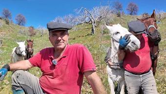 Günlüğü 8 bin TL ama yapan yok: 20 yıl sonra tamamen bitebilir