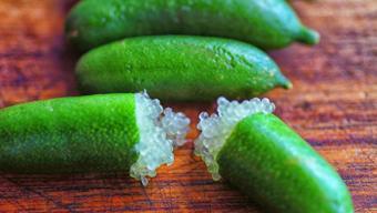 Türkiye'de bu meyvenin adını bilen yok! İçi havyar gibi, tadı ekşi