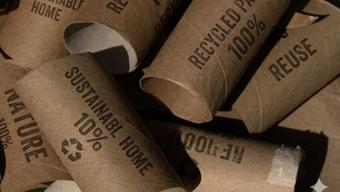 Tuvalet kağıdı rulolarını sakın çöpe atmayın! Aslında altın değerindeler